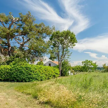 Turin - Yourplace Abruzzo * تورينو دي سانغرو